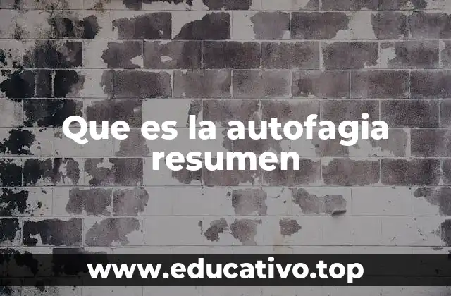 Que es la autofagia resumen