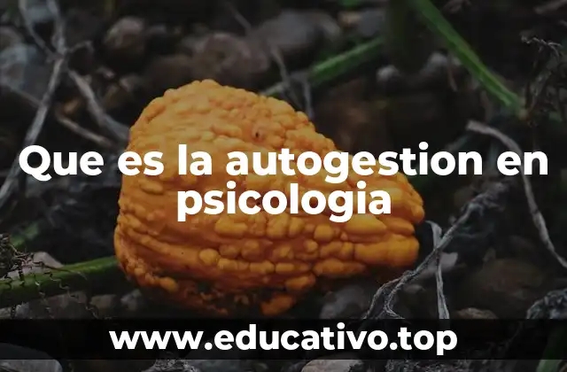 Que es la autogestion en psicologia