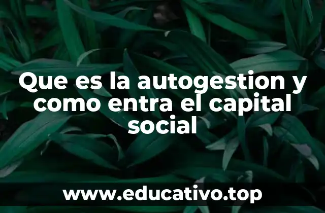 Que es la autogestion y como entra el capital social