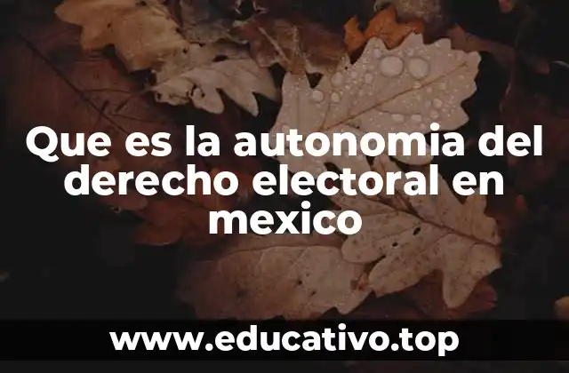 Que es la autonomia del derecho electoral en mexico