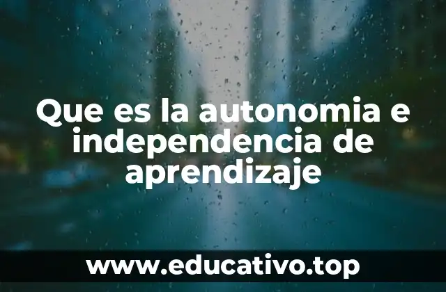 Que es la autonomia e independencia de aprendizaje