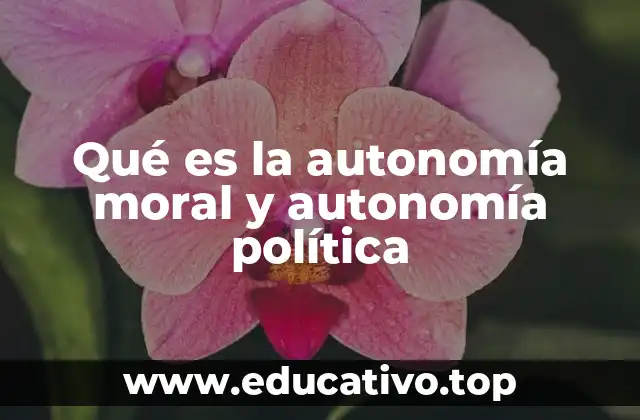 Qué es la autonomía moral y autonomía política