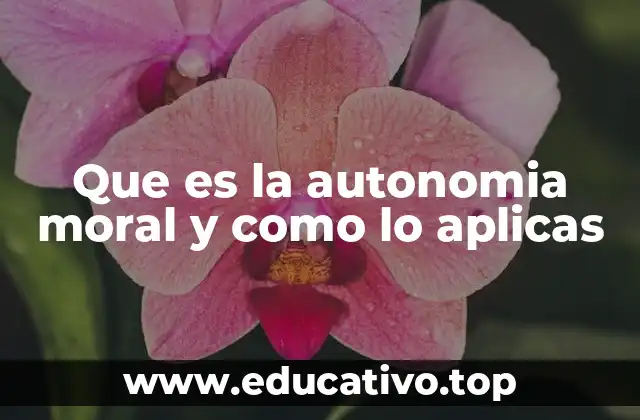 Que es la autonomia moral y como lo aplicas