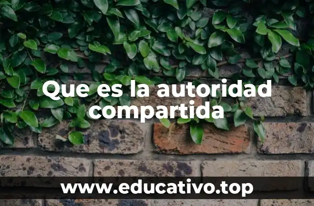Que es la autoridad compartida