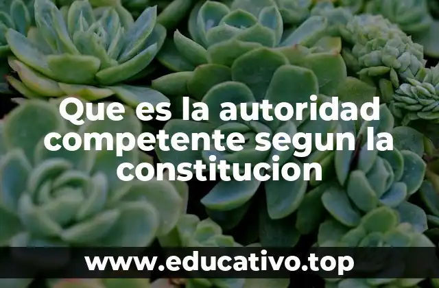 Que es la autoridad competente segun la constitucion