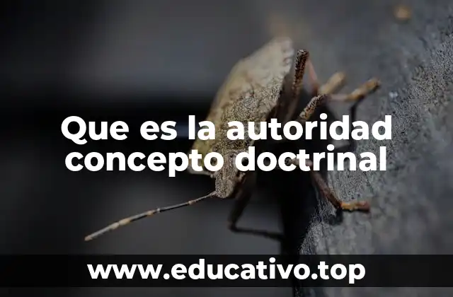 Que es la autoridad concepto doctrinal