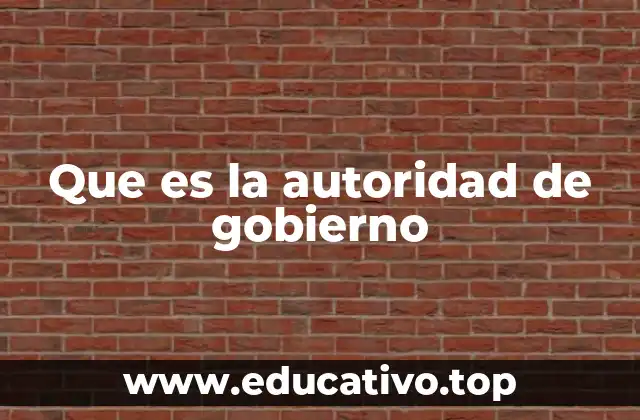 Que es la autoridad de gobierno