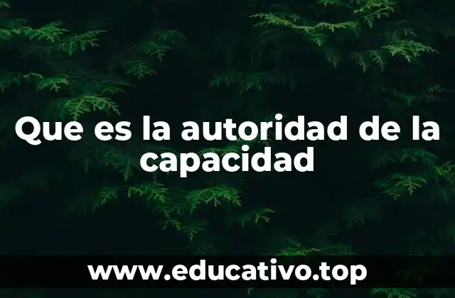 Que es la autoridad de la capacidad
