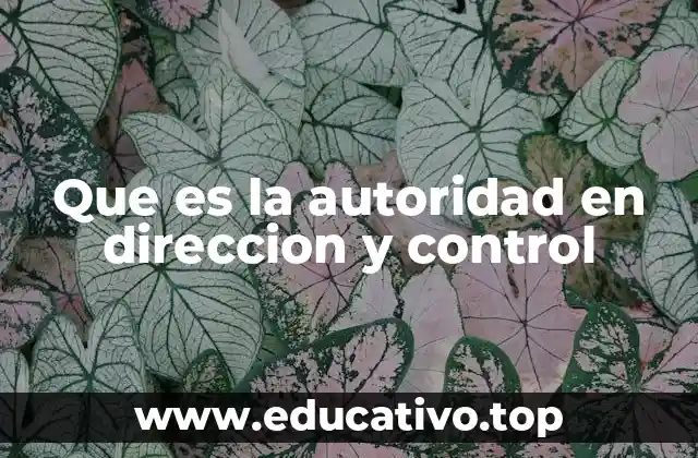 Que es la autoridad en direccion y control