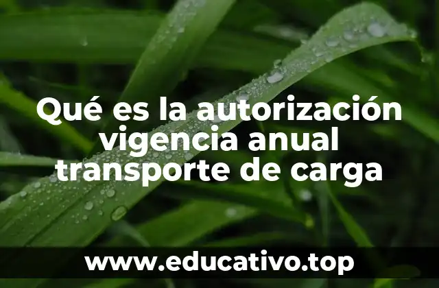 Qué es la autorización vigencia anual transporte de carga