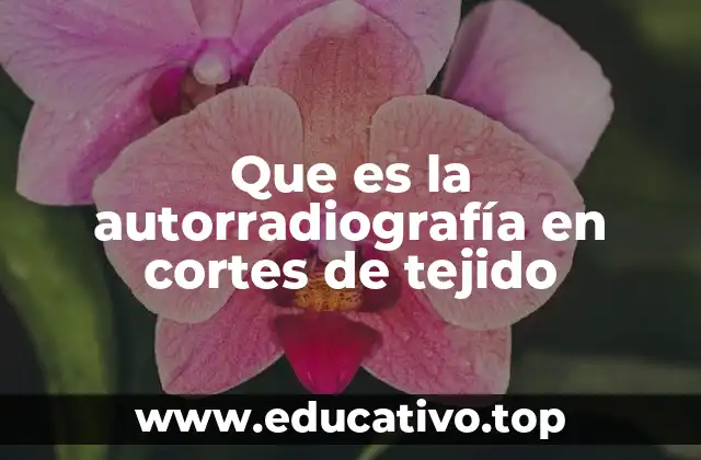 Que es la autorradiografía en cortes de tejido