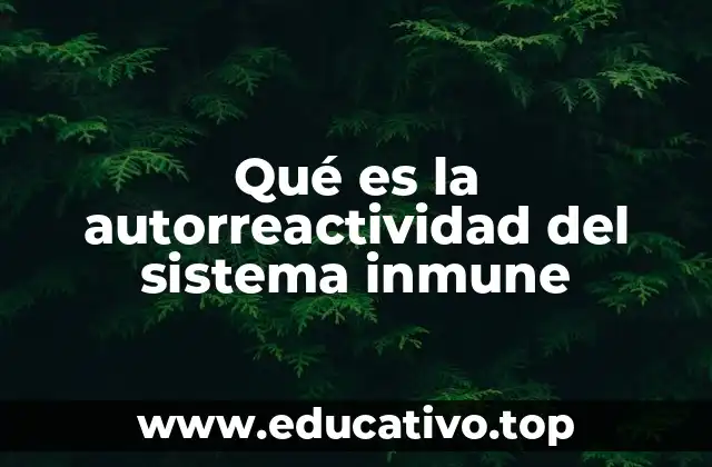 Qué es la autorreactividad del sistema inmune