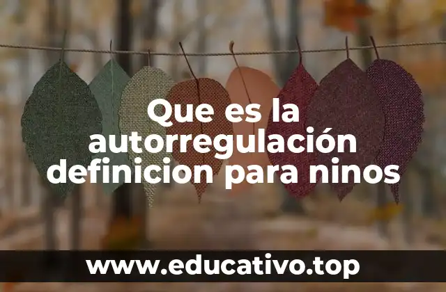 Que es la autorregulación definicion para ninos