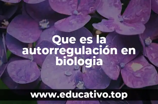 El papel de la autorregulación en la homeostasis