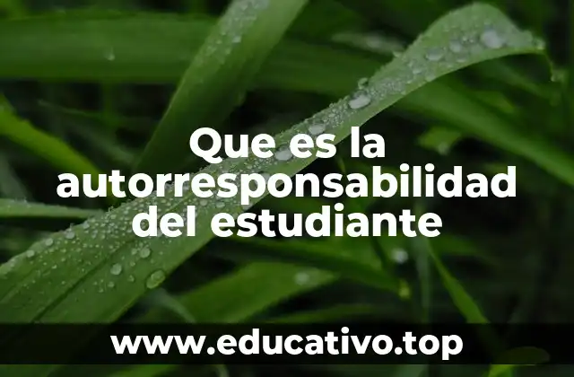 La base ética y emocional del estudiante en el proceso educativo