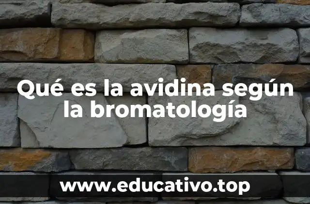 Qué es la avidina según la bromatología
