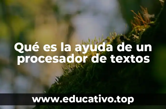 Qué es la ayuda de un procesador de textos