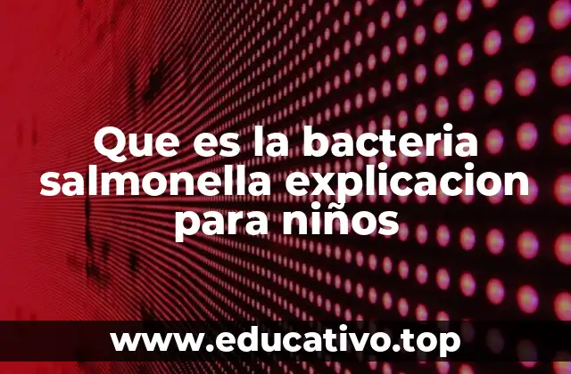 Que es la bacteria salmonella explicacion para niños
