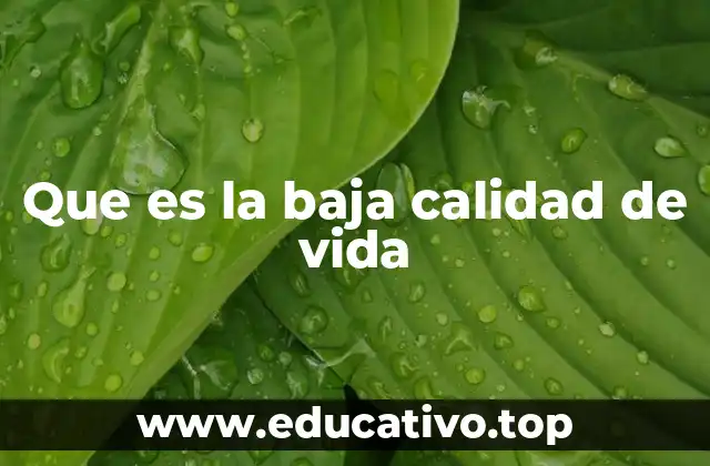 Que es la baja calidad de vida