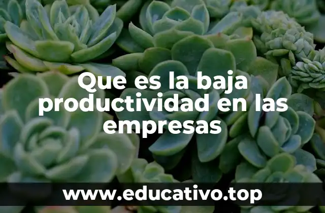 Que es la baja productividad en las empresas