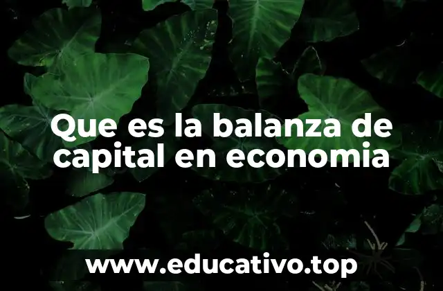Que es la balanza de capital en economia