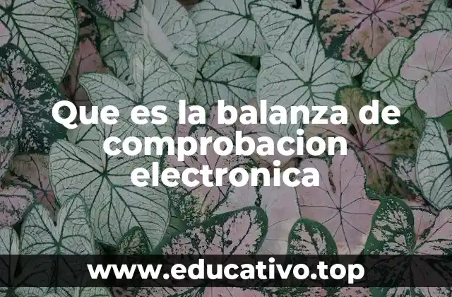Que es la balanza de comprobacion electronica