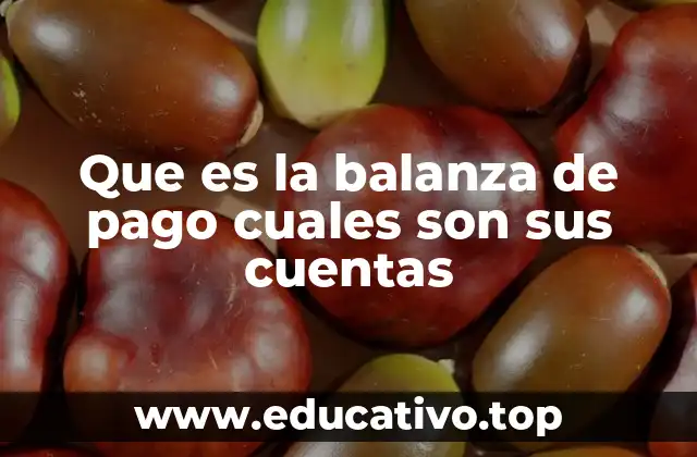 Que es la balanza de pago cuales son sus cuentas