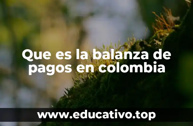 Que es la balanza de pagos en colombia