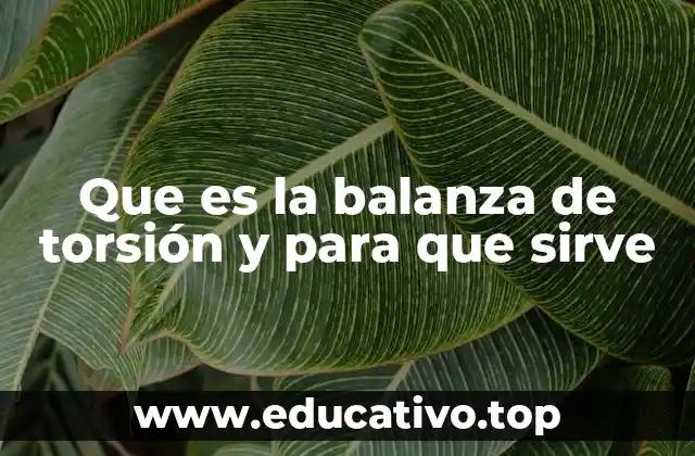 Que es la balanza de torsión y para que sirve