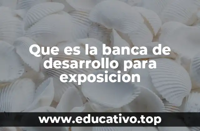 Que es la banca de desarrollo para exposicion