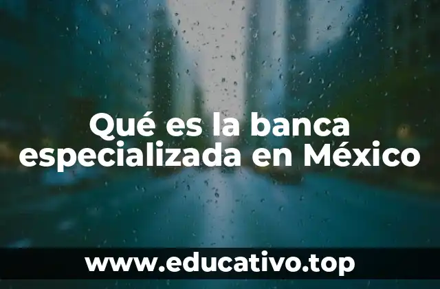 Qué es la banca especializada en México