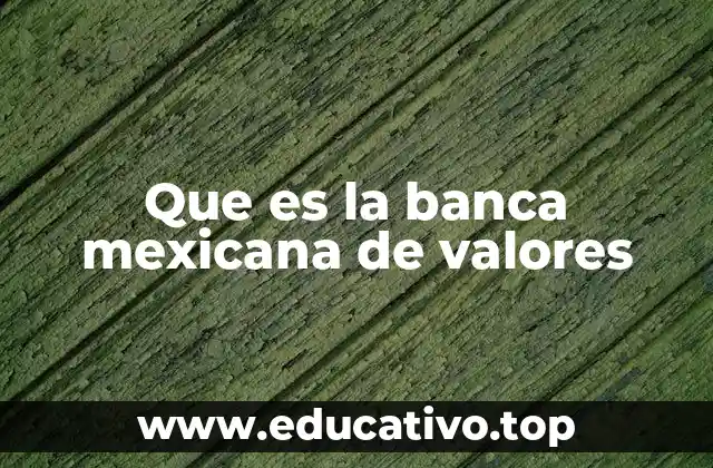Que es la banca mexicana de valores