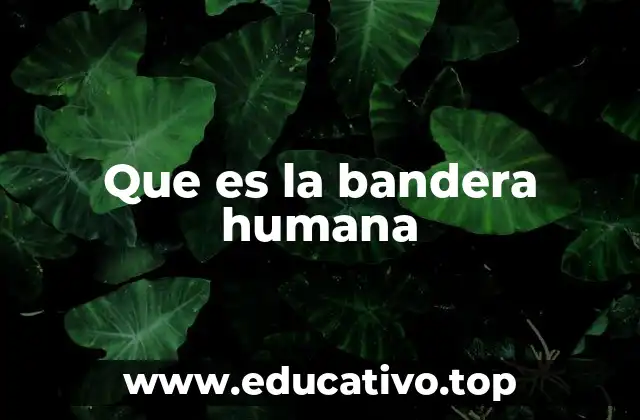 Que es la bandera humana