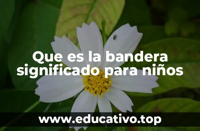 La importancia de enseñar a los niños el significado de las banderas