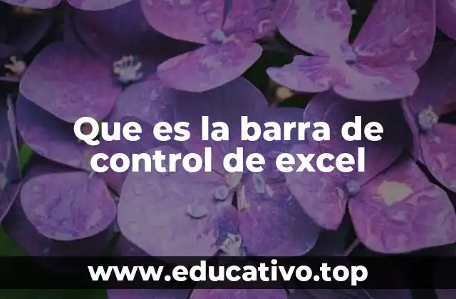Que es la barra de control de excel