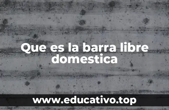 Que es la barra libre domestica