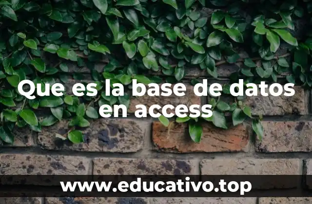 Que es la base de datos en access
