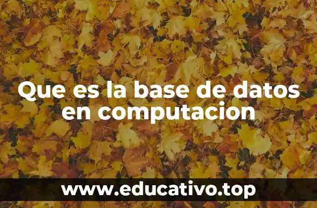 Que es la base de datos en computacion