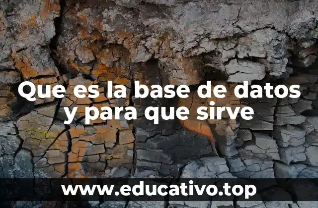 Que es la base de datos y para que sirve