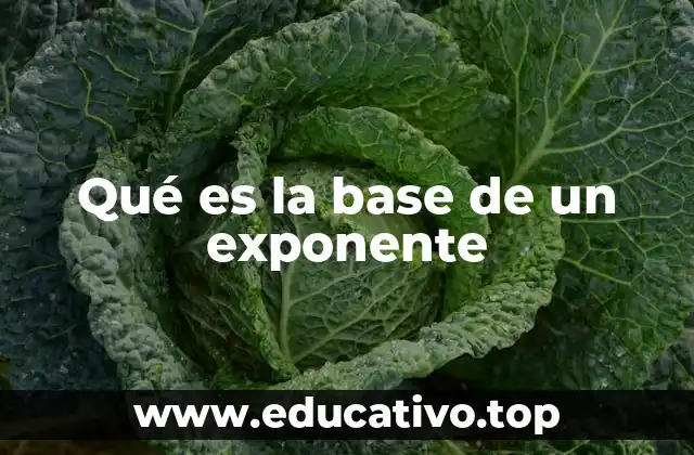 Qué es la base de un exponente