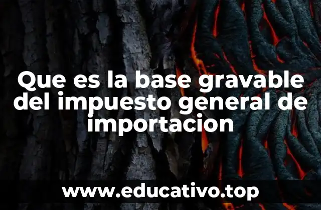 Que es la base gravable del impuesto general de importacion