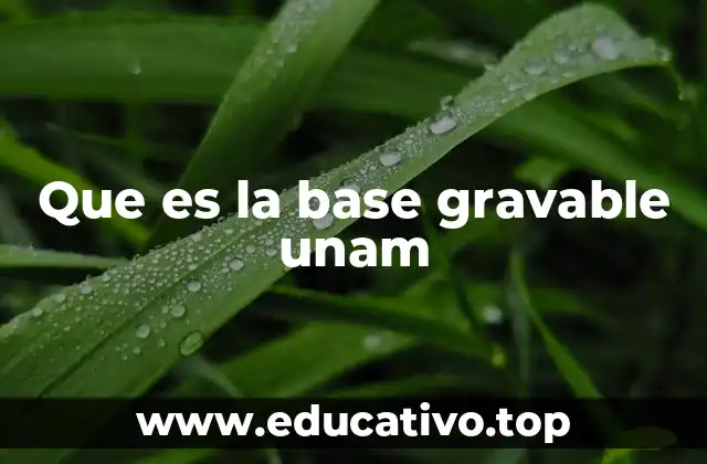 Que es la base gravable unam