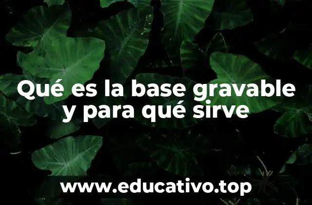 Qué es la base gravable y para qué sirve