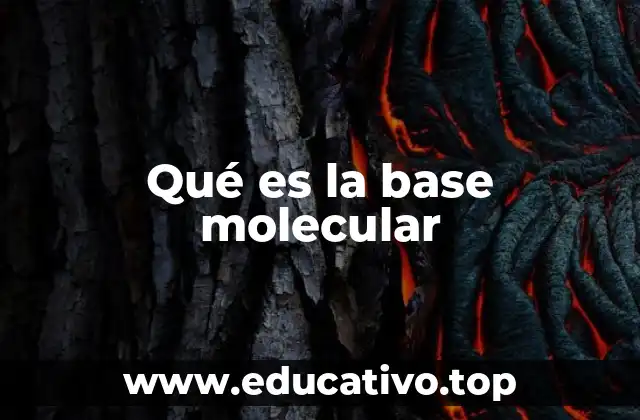 Qué es la base molecular