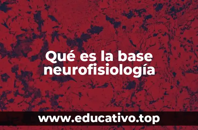 El fundamento biológico del sistema nervioso