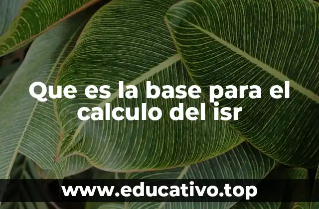 La base del ISR y su importancia en el sistema fiscal