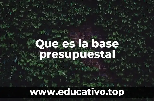 Que es la base presupuestal