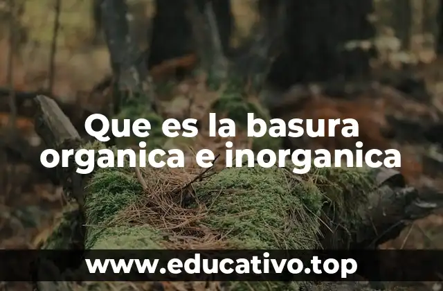 Que es la basura organica e inorganica