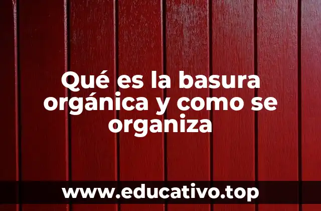 Qué es la basura orgánica y como se organiza