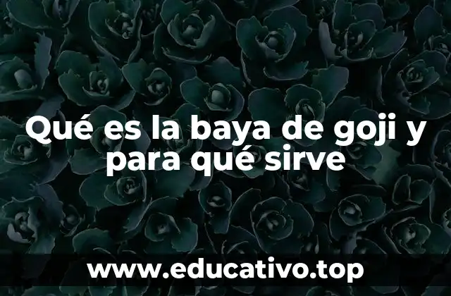 Qué es la baya de goji y para qué sirve